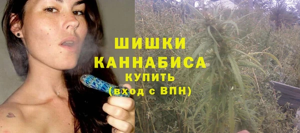 ГАЛЛЮЦИНОГЕННЫЕ ГРИБЫ Алзамай