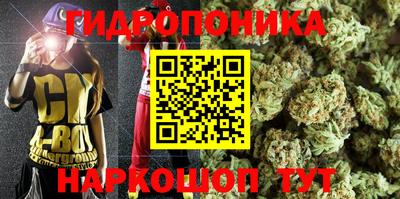 прущие грибы Беслан