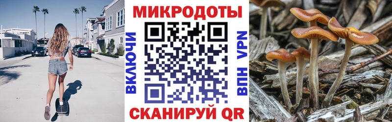 Галлюциногенные грибы мухоморы  Владивосток 