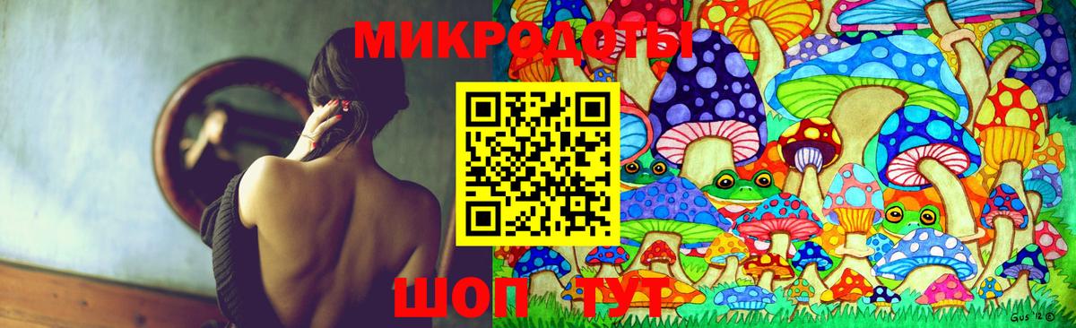 где можно купить   Галлюциногенные грибы Psilocybe  Владивосток  Псилоцибиновые грибы GOLDEN TEACHER 